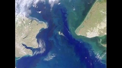 Йети (снежният човек или Голямата стъпка)!
