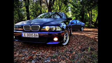 Gangs in the park - Bmw E39 528i & Bmw E46 318i 