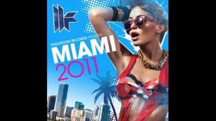pete griffiths - toolroom records miami 2011 (afterparty mix) 