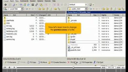 Managing files/folders in Winscp by www.vivahost.com