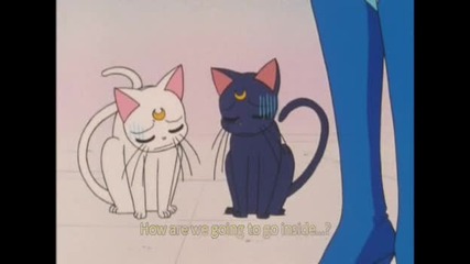 Sailor Moon S - episode 29