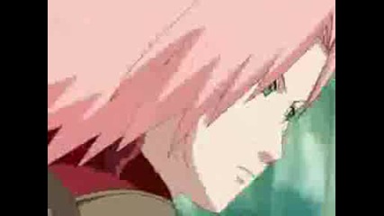 Amv Sakura