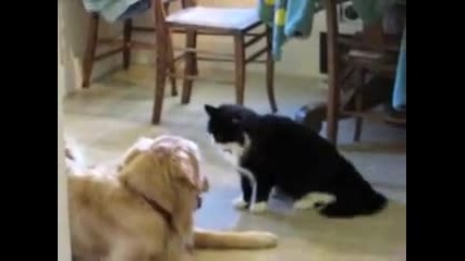 Gabriel & Stanley
