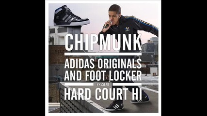 Chipmunk - Flying high