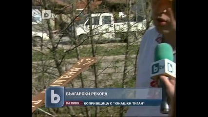 Български рекорд