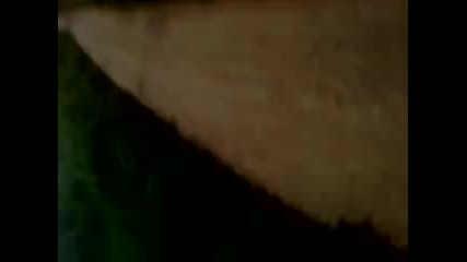 Цоцка беглеца - змията 