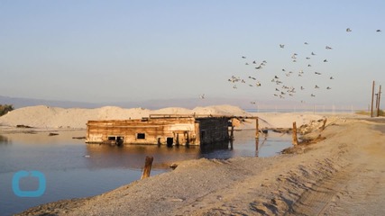 Dry SoCal Offers Farmers Top Dollar for Water