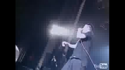 Papa Roach - Dead Cell Mtv Live