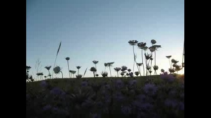David Deejay ft. Dony - Nasty Dream 2008