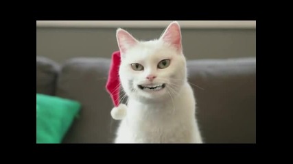 Пеещата котка-merry christmas