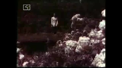 Птици мой, пролет моя - Маргрет Николова 