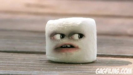 Marshmallow Murder 