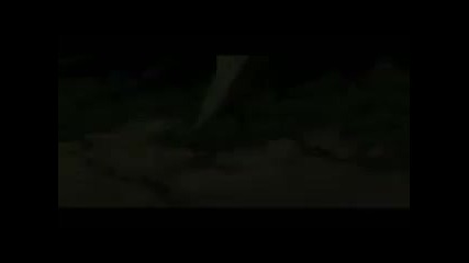 Naruto and Shikamaru Tribute