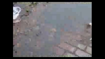 Скутер