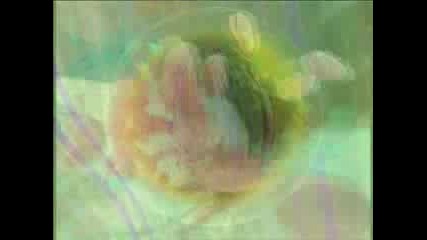 Pink Floyd - THE EMBRIO