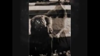 Tolis Voskopoylos - Ekini 