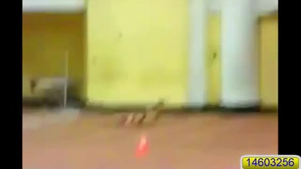 Girls Fail Compilation 2012