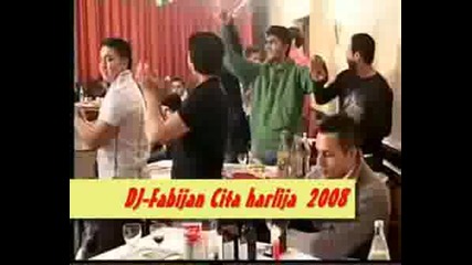 Cita Hajrlija 2008.avi