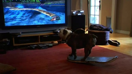 Kуче което кара скейт, играе много добре на Wii 