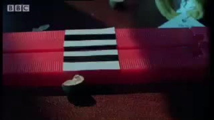 Мексикански скачащи бобчета 