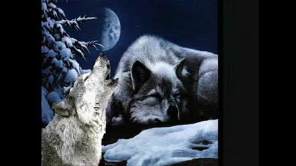 Wolves