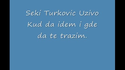Seki Turkovic - Kud da idem i gde da te trazim