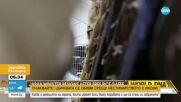 „Никога не съм купувал ориз“ – думите, които свалиха японския министър на земеделието