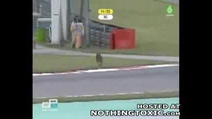 Животно Във F1