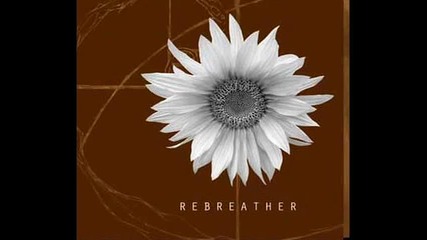 Rebreather - Sunflower