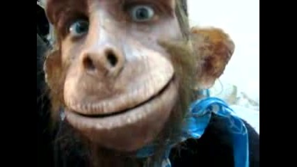 Mono Humano - Human Ape - Soullord