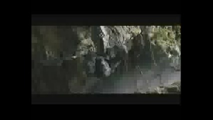 King Kong Vs. T - Rex