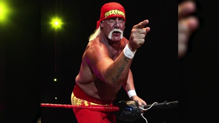 WWE Terminates Hulk Hogan After a Leaked Sex Tape Reveals Racist Rant