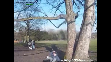 Tree Flip Fail