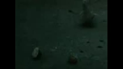 Bolt. 3gp