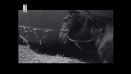 Привързаният Балон 1967 Бг Аудио Част 3 Tv Rip Канал 1 Бнт 1