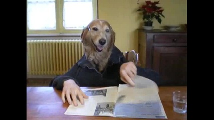 не за изпускане