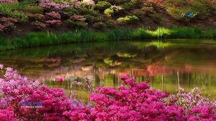 Edward Simoni - Enchanted World (amazing pan flute music)