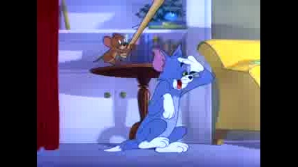 Tom &amp; Jerry  -  Nit - Witty Kitty