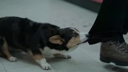 Swedish House Mafia - Save The World (official Music Video)