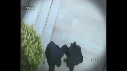 Изоставено сърце реклама