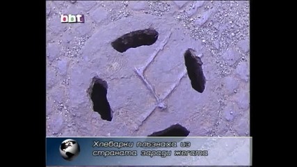 Наемни убийци на вредители - Vrediteli.bg по телевизия bbt