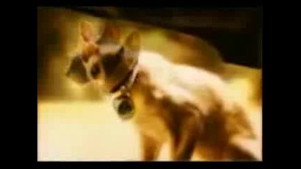 Charmed Opening Credits - Some Say