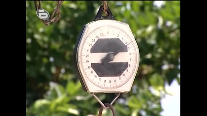 Survivor Bg - Филипините *01.10.09* (част 2)