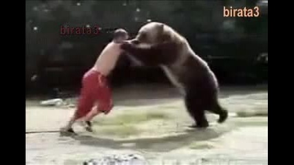 Смешни мечки