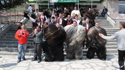 Eleshnitsa Plaja