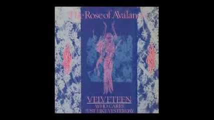 The Rose of Avalanche - Veleveteen