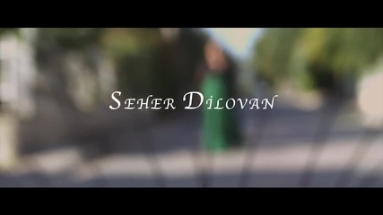 Seher Dilovan - Alli Turnam