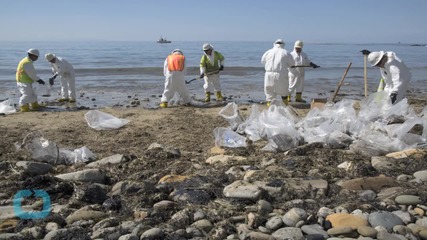 Scientists Warn of Damage to Offshore Ecosystem After Coastal Oil Spill