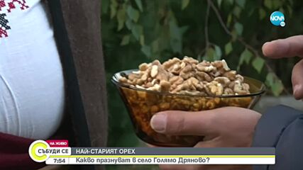 След 2-годишно прекъсване: Фестивалът на ореха в Старозагорско се завръща