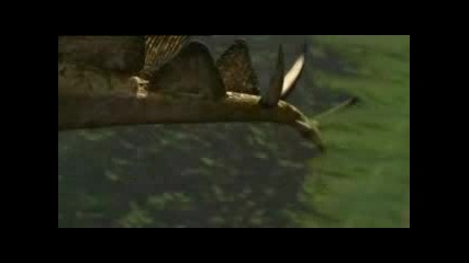 Jwak.net - преди 150 милиона години.wmv